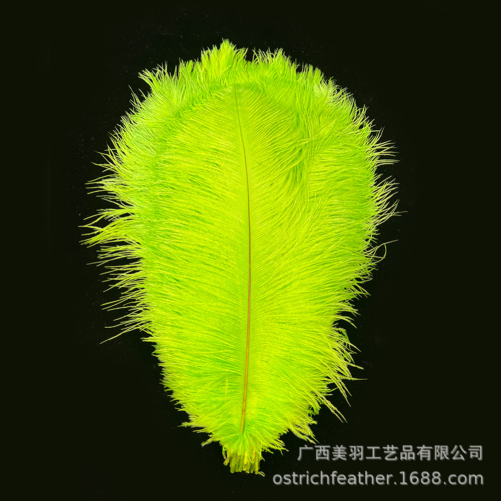 Picture of 35-40cm Ostrich Feather Wholesale Manufacturer Spot Wedding Decoration Feather DIY Crafts Stage Clothing Ostrich Feather