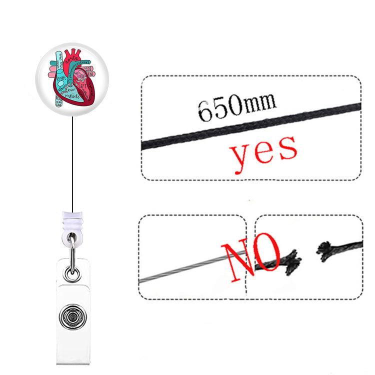 Picture of Heart, Spleen and Lung Brain, Large Intestine Organ Easy-Pull Buckle, Telescopic Easy-Pull Id Buckle, Doctor Nurse Badge Buckle Badge