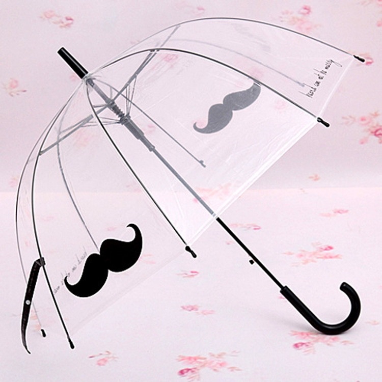 Picture of Korean Style Building Arched Apollo Princess Transparent Umbrella Umbrella Semi-automatic Creative Curved Hook Straight Long Handle Umbrella