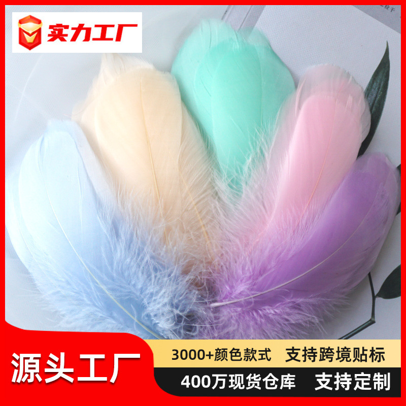 Macaron color feather decoration goose feather large and medium floating dream catcher gift box filled bouquet diy handmade material
