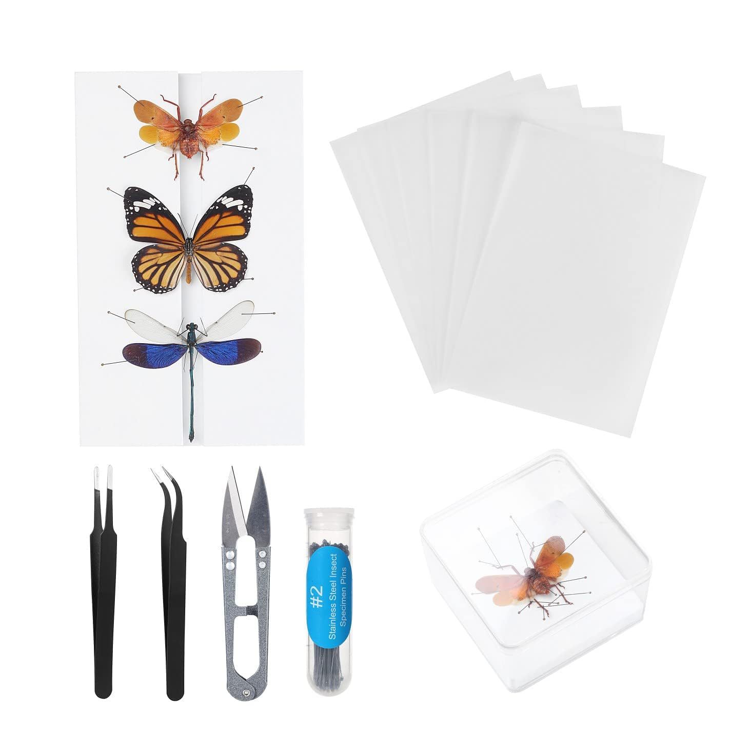 Insect specimen making tool insect needle fin plate DIY butterfly specimen tool specimen display accessories suit