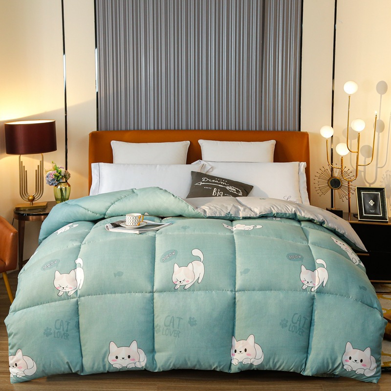 Picture of Quilt Spring and Autumn Quilt Core Quilt Winter Quilt Single Student Dormitory Autumn and Winter Thickened Four Seasons Universal Bedding Double