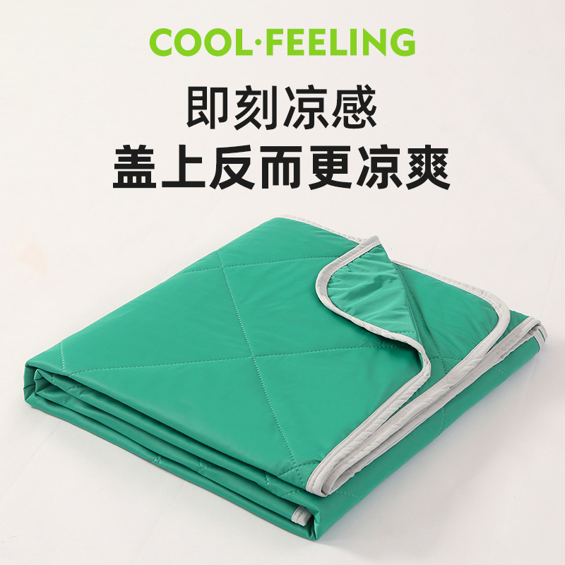 Picture of 2025 New Technology Air Conditioning Quilt Core Cool Silk Summer Quilt Company Group Buying Store Celebration Gift Live Manufacturer Wholesale