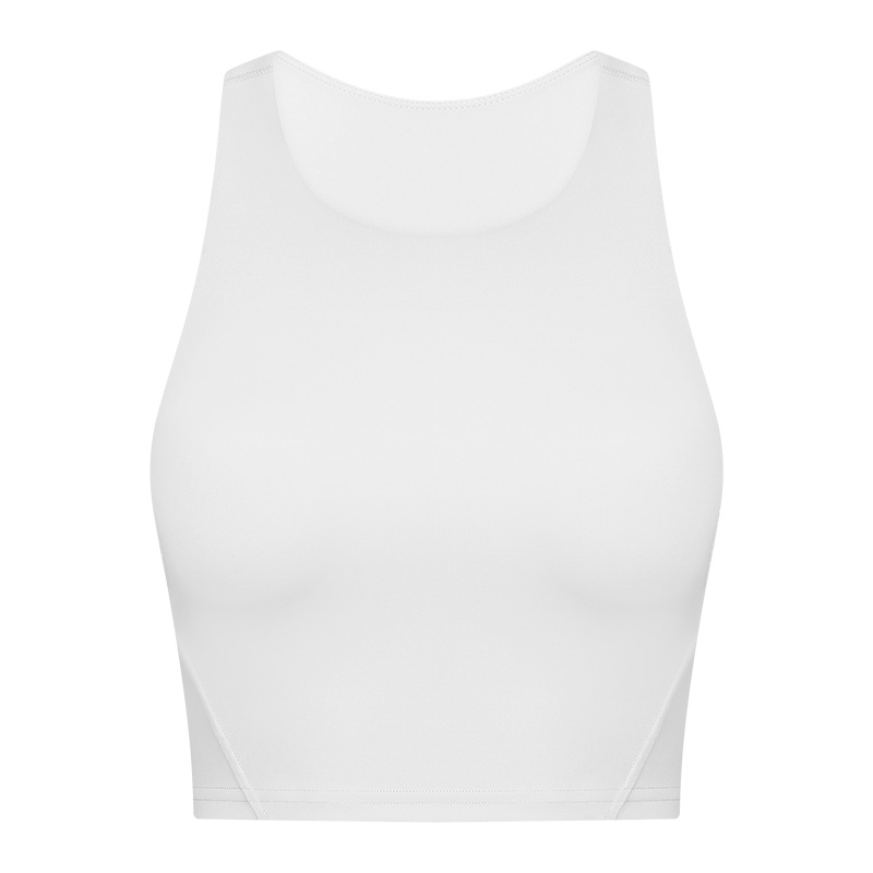 Picture of New Style Elevated Round Neck Sports Vest with Chest Pad for Women Nude Sports Fitness Yoga Bra Dt169
