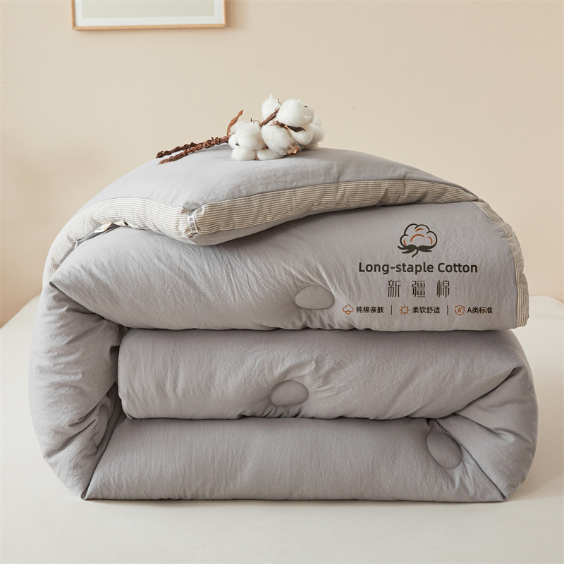 Picture of New Xinjiang Long-Staple Cotton 100 Cotton Quilt Spring & Fall Quilt Winter Quilt Quilt Core Live Broadcast Classy Stereo Cotton