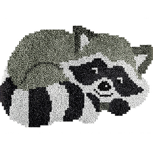 Picture of Pre-Sale Cross-Border Supply Handmade DIY Carpet Fox, Raccoon Segment Embroidery (Package) English Version