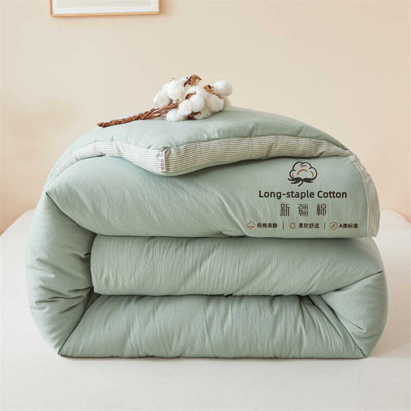 Picture of New Xinjiang Long-Staple Cotton 100 Cotton Quilt Spring & Fall Quilt Winter Quilt Quilt Core Live Broadcast Classy Stereo Cotton