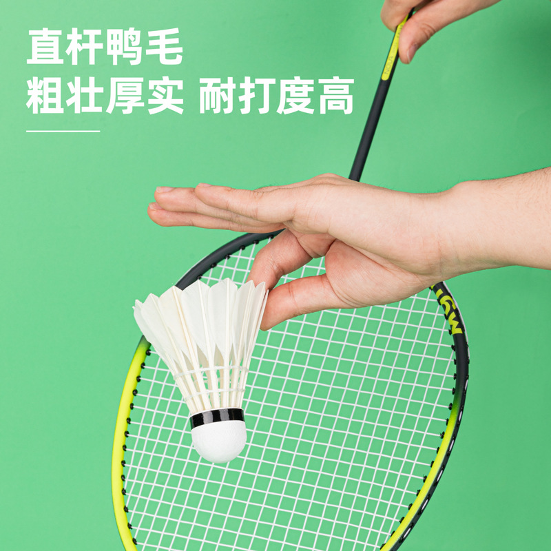Picture of Angnete F2202S Badminton (white)(12 PCs/tube)