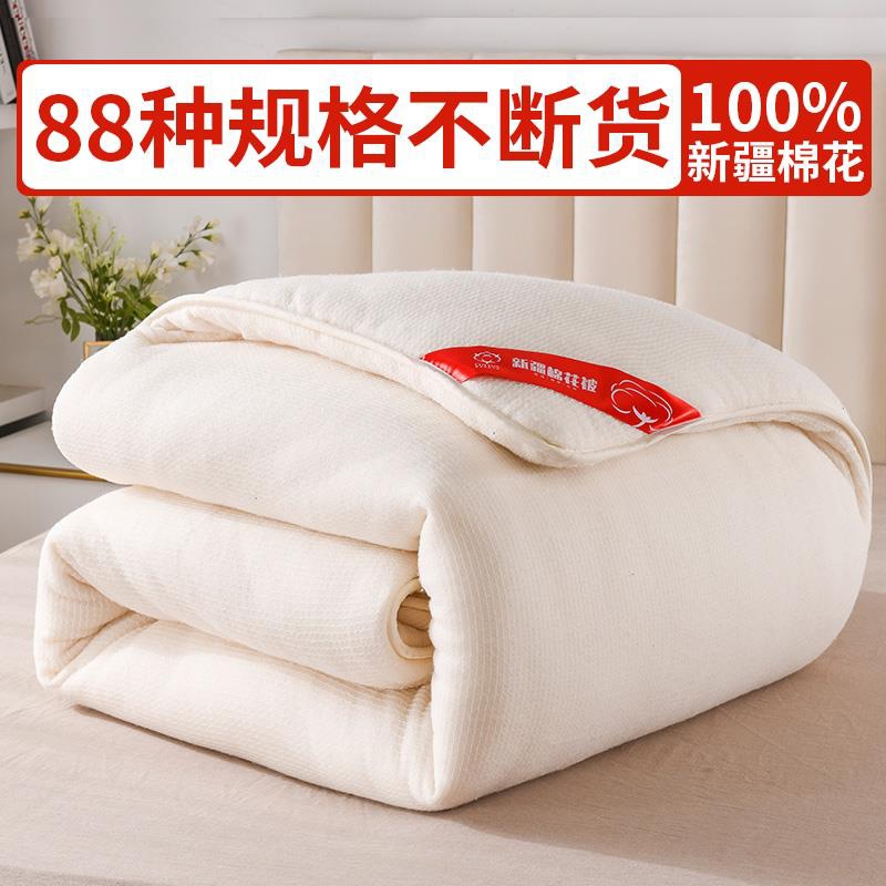 100 Xinjiang Cotton Quilt Grade I Long-staple Cotton Winter Quilt Four Seasons Spring and Autumn Thickened Pure Cotton Single Quilt Core Dormitory General