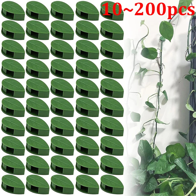 2024 New Green Leaf Invisible Plant Fixed Vine Bracket Fixed Buckle Leaf Clip Traction Frame Garden Plant Bracket