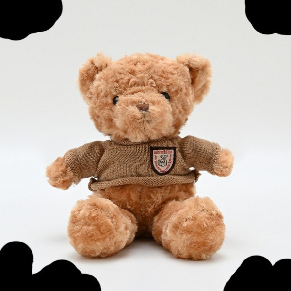Picture of Sweater Teddy Bear Hug Bear Doll Plush Toy Bear Pillow Doll Wedding Gift Cute