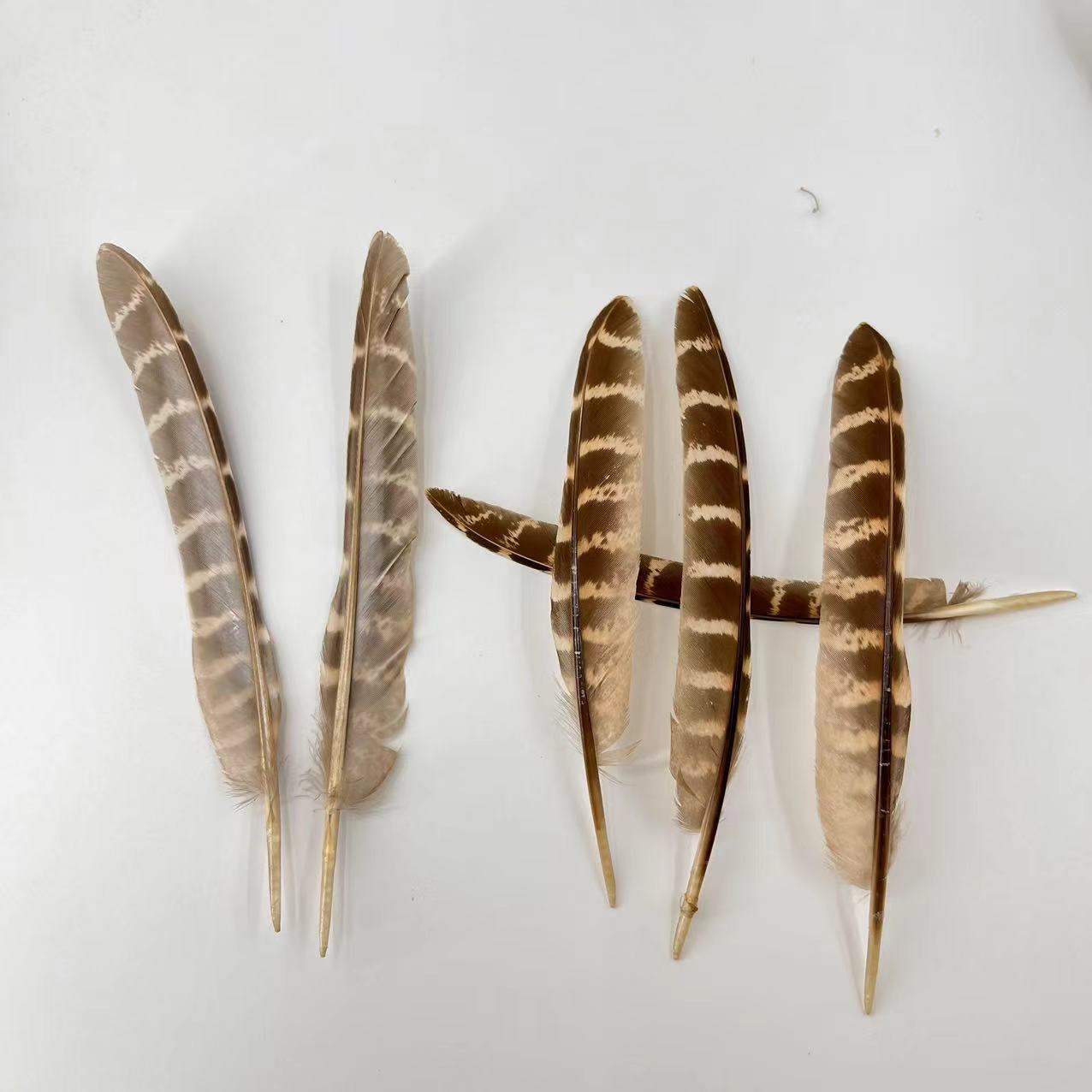 Picture of A large number of manufacturers in stock supply mother mountain chicken nest feather DIY bagging feathers Amazon for real feathers