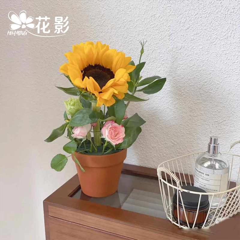 Flower Shadow Mini Earth Pottery Color Flower Pot Small Flower Pot Drop-resistant Creative Handmade Diy Crochet Car Decorative Artificial Grass