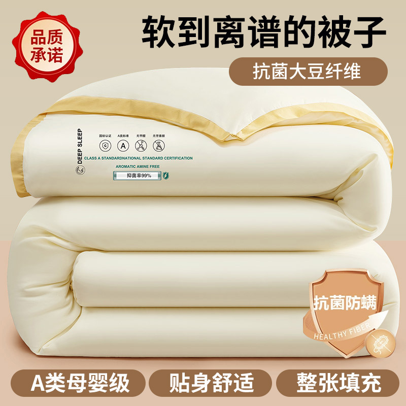 Picture of Soybean Fiber Quilt Winter Quilt Thickened Warm Winter Quilt Core Quilt Autumn Winter Quilt Spring and Autumn Quilt Single Winter