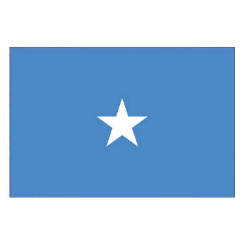 90*150cm Somalia flag No. 4 polyester flag campaign flag hand flag manufacturers supply 3 * 5ft