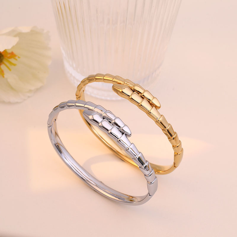 Cross-Border Stainless Steel Snake-Shaped Bracelet for Girls, High-End Snake Bone Bracelet for Couples, Non-Fading Titanium Steel Bracelet Jewelry
