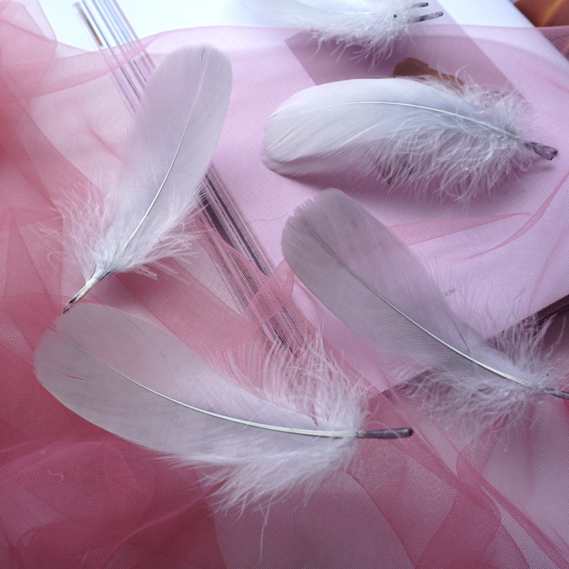 Picture of Macaron color feather decoration goose feather large and medium floating dream catcher gift box filled bouquet diy handmade material