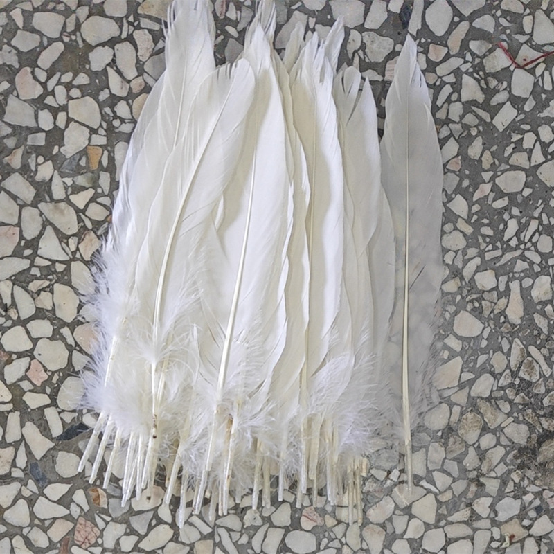 Picture of Feather color goose feather hard big floating dream catcher sunflower kindergarten handmade art class material wings decoration