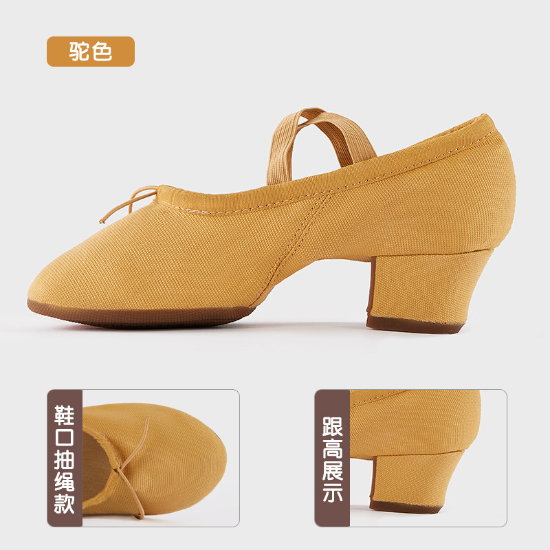Picture of Dance Shoelaces with Soft Sole Canvas Teacher Shoes Belly Dance Shoes Body Etiquette Training Shoes Adult Ballet Shoes Cross Border