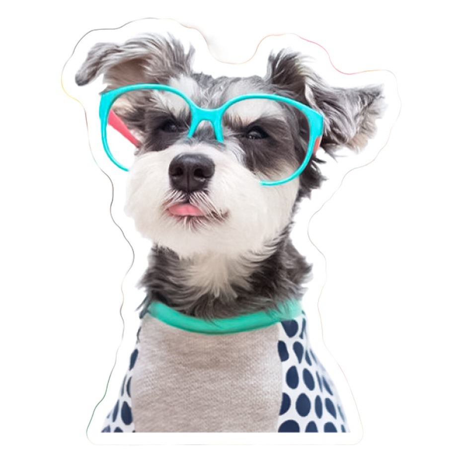 50 pieces of realistic puppy graffiti stickers water cup mobile phone shell flat luggage guitar speaker helmet waterproof stickers
