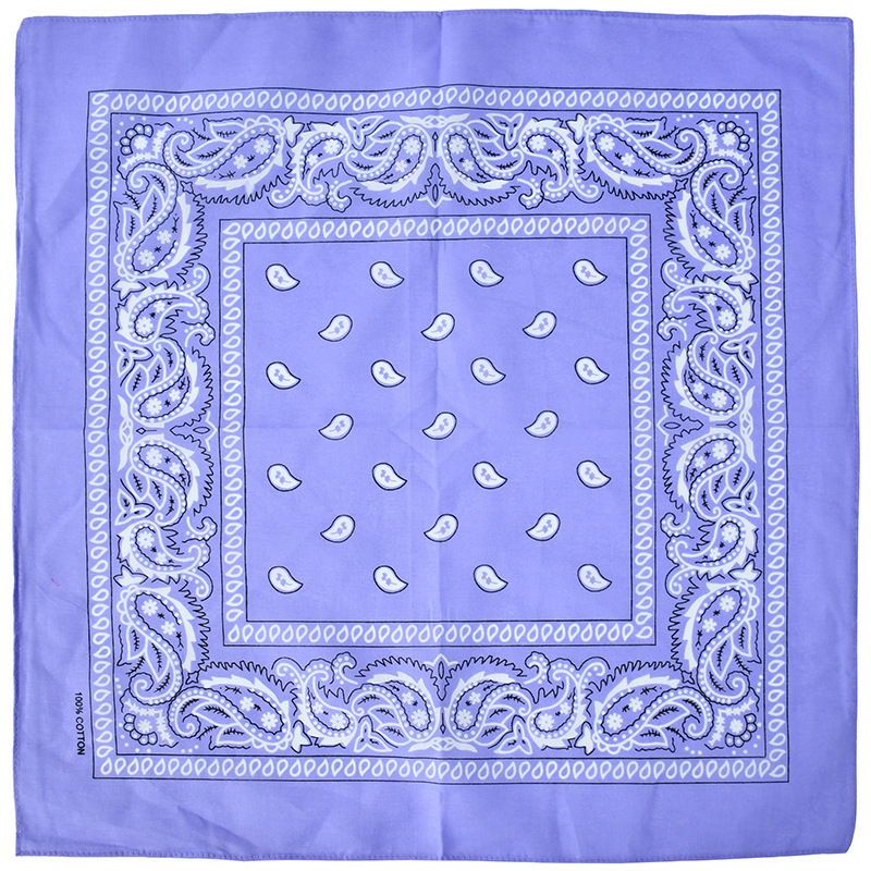 Picture of Factory Wholesale European and American Cashew Flower Square Scarf Outdoor Sports Cycling Hip-Hop Spot Pure Cotton Insect Printed Headscarf