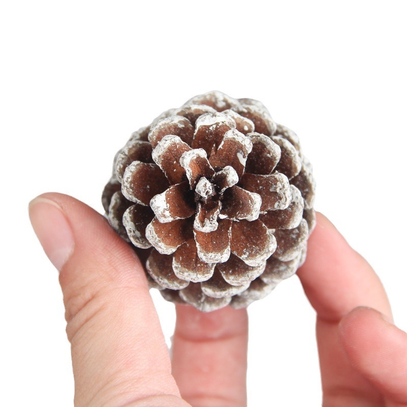 Picture of Christmas tree decoration pine cone pendant Christmas decoration supplies pine cone dyed white pine cone ornaments about 5CM