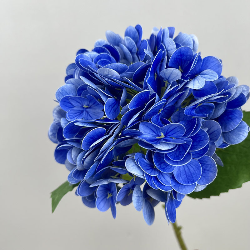Picture of Artificial Flower 182 Pieces Large Hydrangea High Quality Moisturizing Hydrangea Wedding Floral Decoration Wedding Artificial Flower