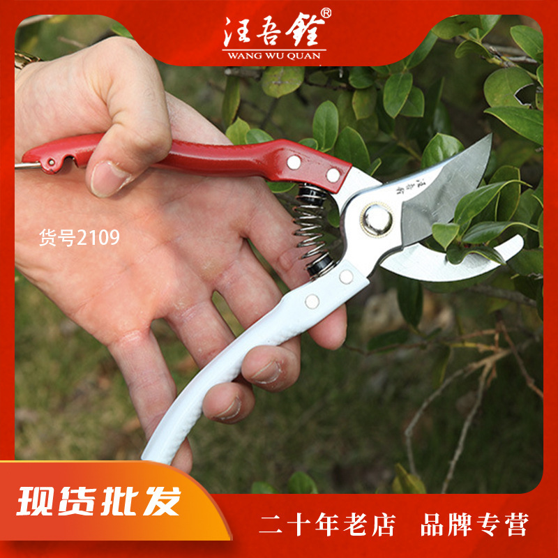 Wang Wuquan pruning fruit tree pruning scissors branch garden labor-saving gardening scissors flower trimming sk5 coarse branch scissors 2109