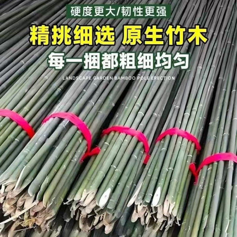 Bamboo Pole Vegetable Garden Trellis Grape Rack Vegetable Climbing Bean Trellis Cucumber Long Bamboo Pole Fence Anti-Corrosion Thin Bamboo