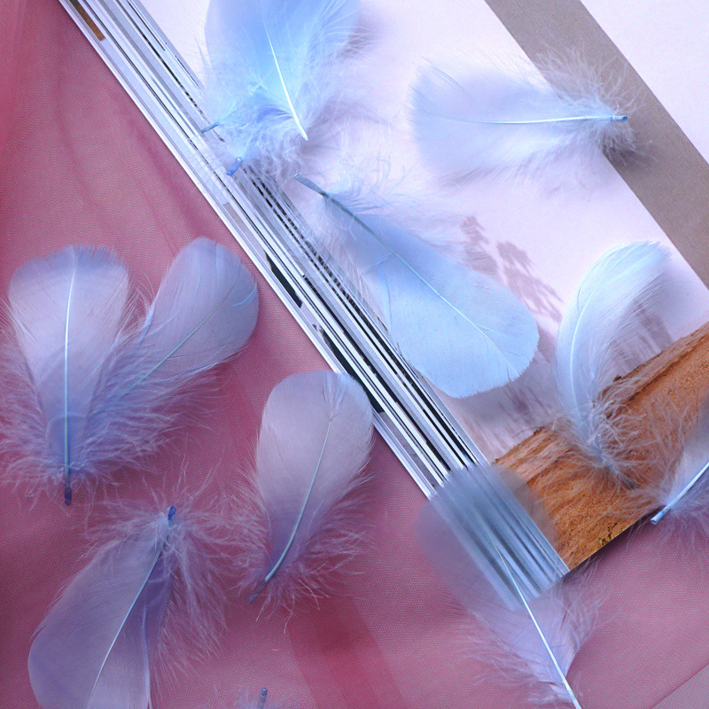 Picture of Manufacturer Wholesale Macaron Colorfulful Small Feather 5-8cm Goose Feather Small Floating Wave Ball Balloon Filling Decorative Material