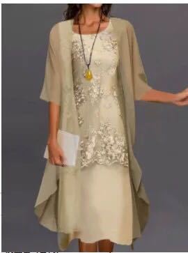 Picture of European and American Hot-Selling Independent Site Amazon Wish Hot Spring & Fall Fashionable and Elegant Lace Chiffon Dress Two-Piece Set