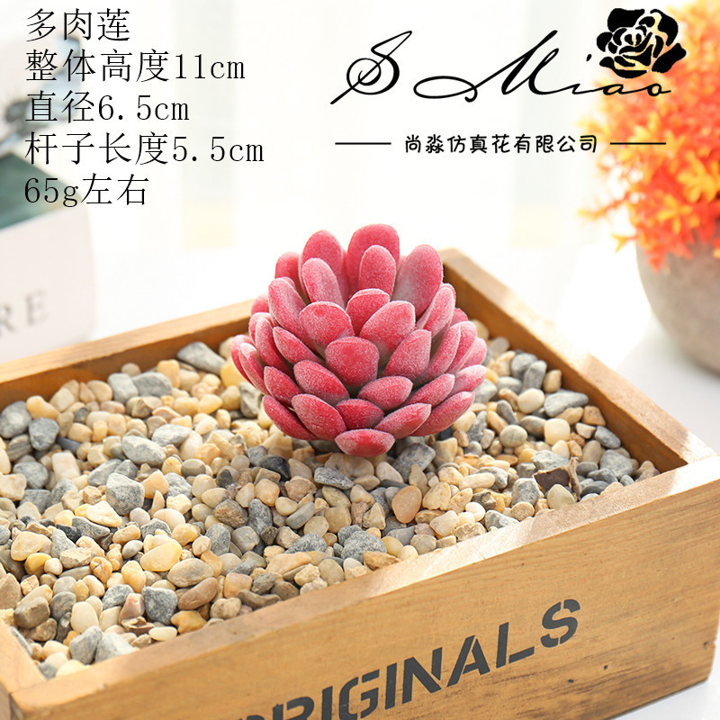 Picture of 006 Flocked Red Series Succulents Creative DIY Supplies Accessories Factory Direct Supply Wholesale Artificial Green