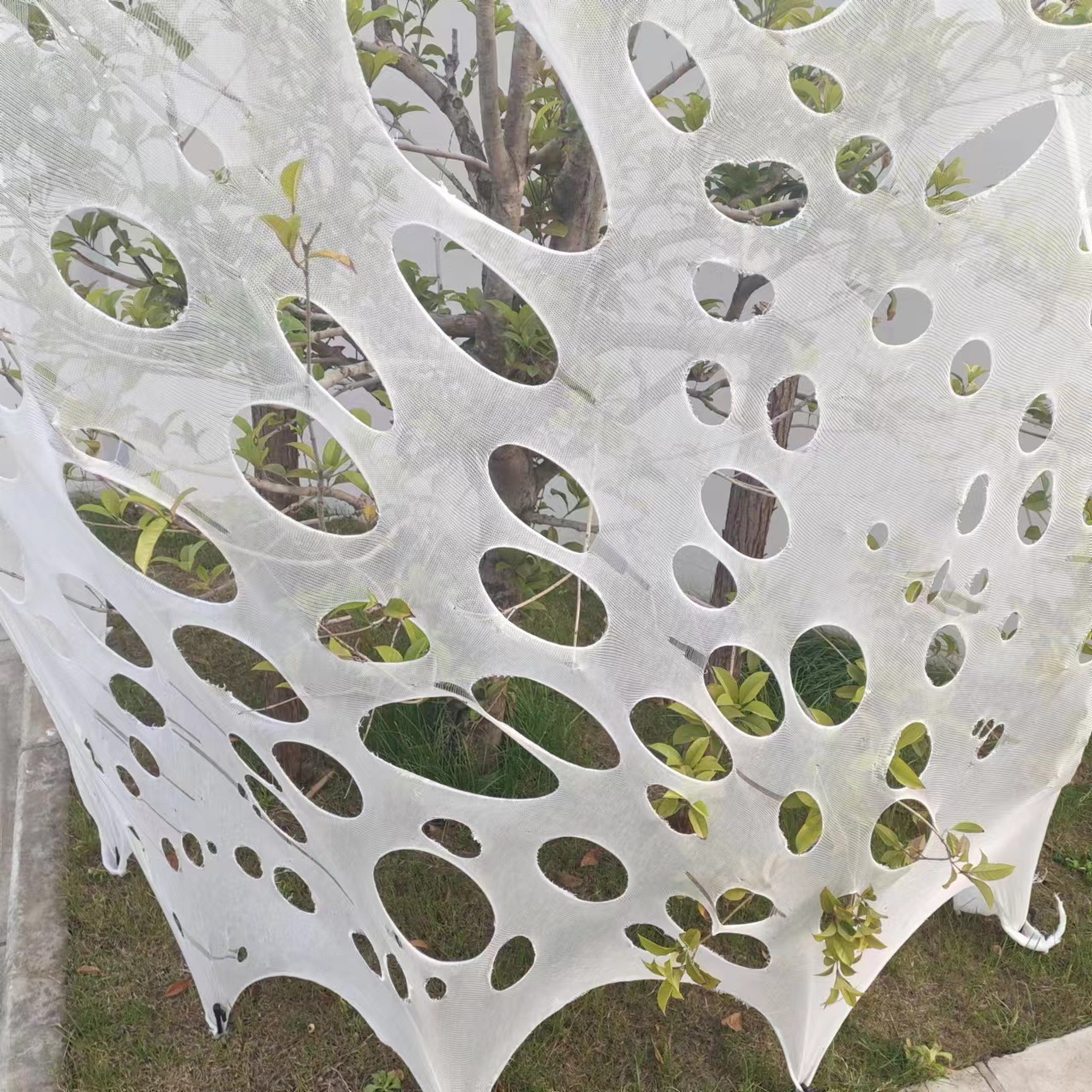 Picture of Special Offer Horror Decorative Cloth Amazon Spider Web Halloween Spider Web Halloween Spider Web