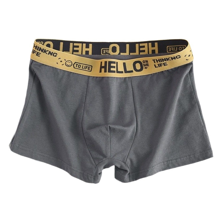 Men's underwear men's wholesale plus size mid-waist antibacterial breathable comfortable cotton boxer shorts head men's factory delivery