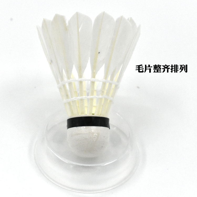 Picture of Changfeng Badminton Duck Feather Nai Play 12 Pack Indoor and Outdoor Practice Competition Training Badminton Wholesale
