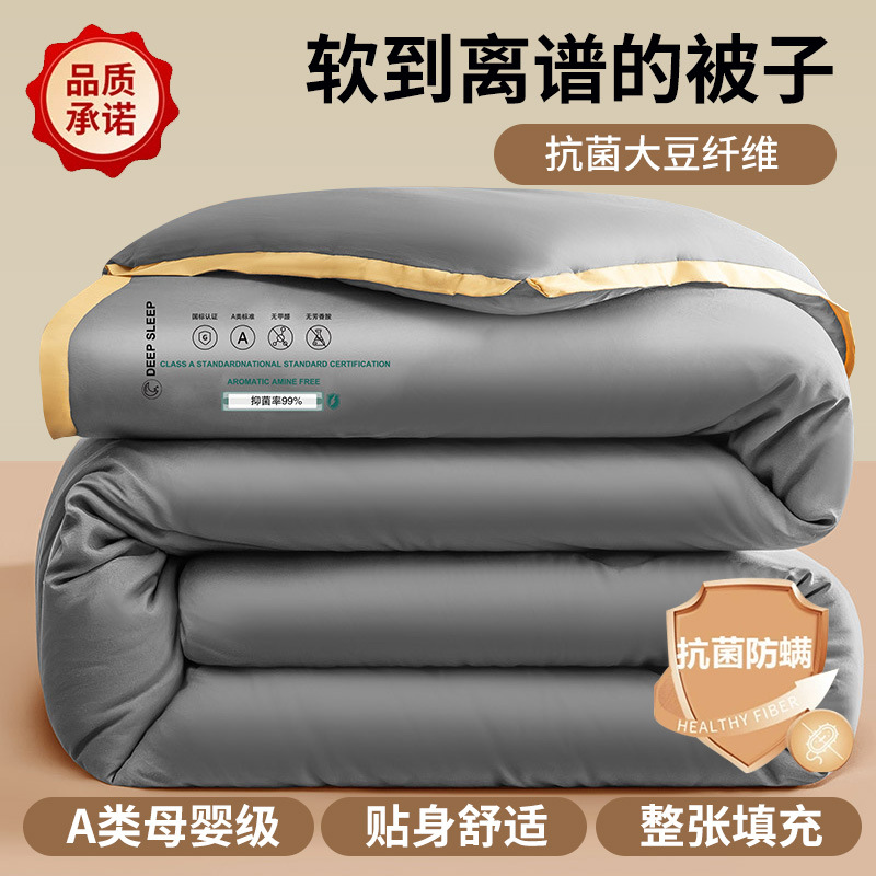 Picture of Soybean Fiber Quilt Winter Quilt Thickened Warm Winter Quilt Core Quilt Autumn Winter Quilt Spring and Autumn Quilt Single Winter