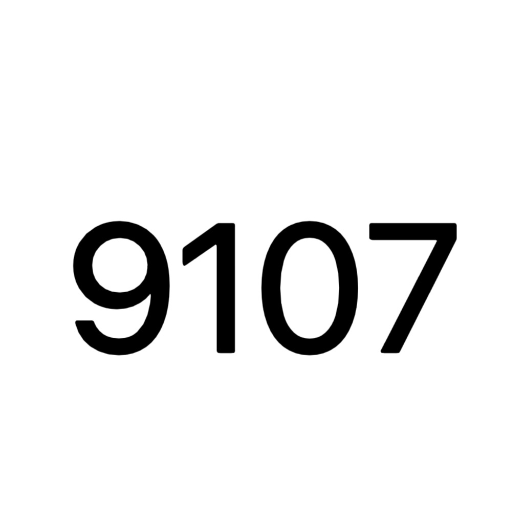 Big Dividend 9107