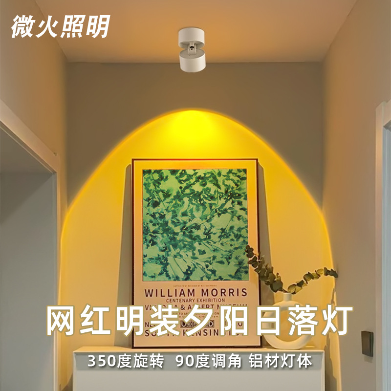 Adjustable Angle Sunset Spotlight for Home Entryway and Hallway, Led Wall Washer Light with High Color Rendering