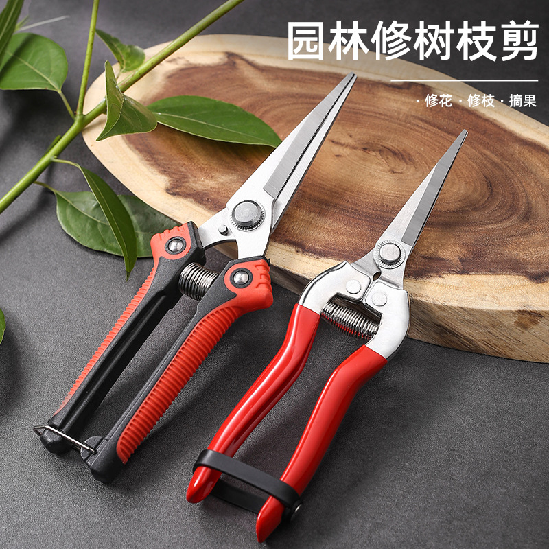 Factory spot stainless steel pruning scissors fruit and vegetable scissors grape scissors thin fruit scissors citrus grape head scissors