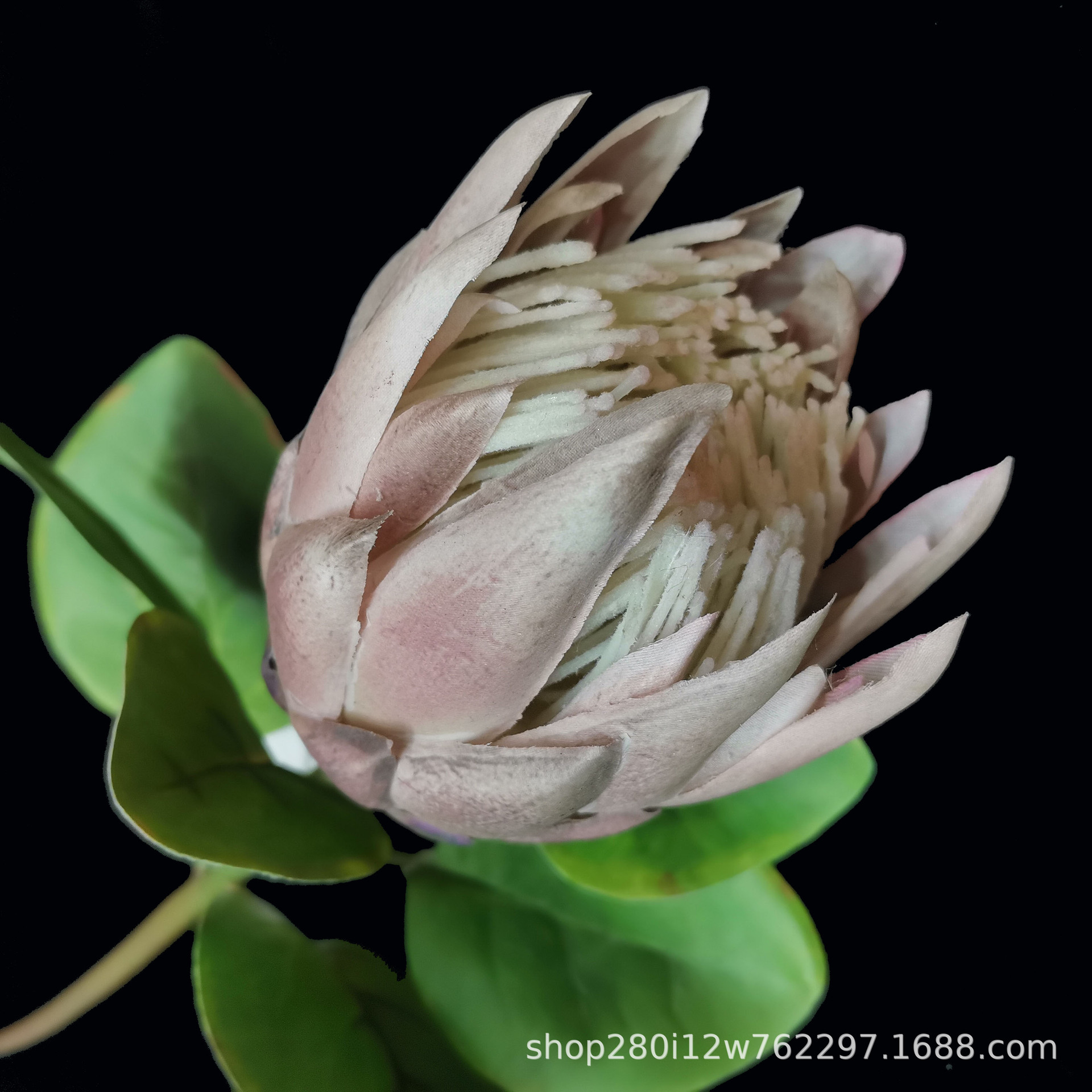 Picture of European-Style Small Spring-Colored Simulated Emperor Flower, South African Artificial Flower, Simulated Plant, High-End Imperial Flower