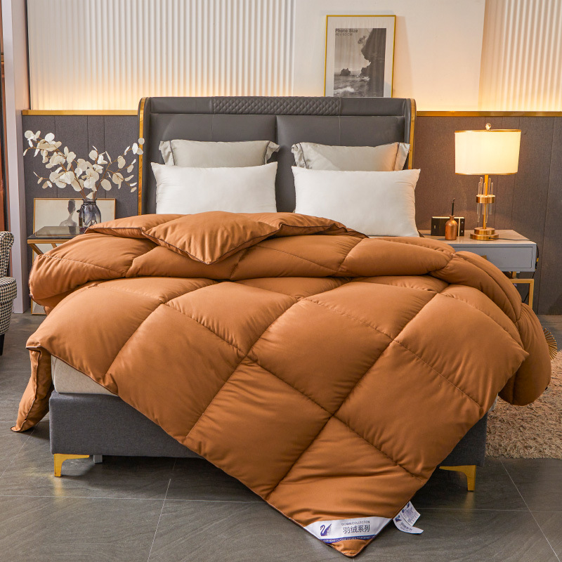 Picture of genuine goods Feather Velvet Quilt Spring and Autumn Quilt Thickened Gift Winter Quilt Down Quilt Cold-proof Warm Thick Quilt for Student Dormitory