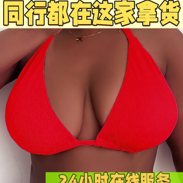 Amazon 2025 New European and American Hanging Neck Lace plus size Swimsuit Women Bikini Sexy Gathered Swimsuit Top