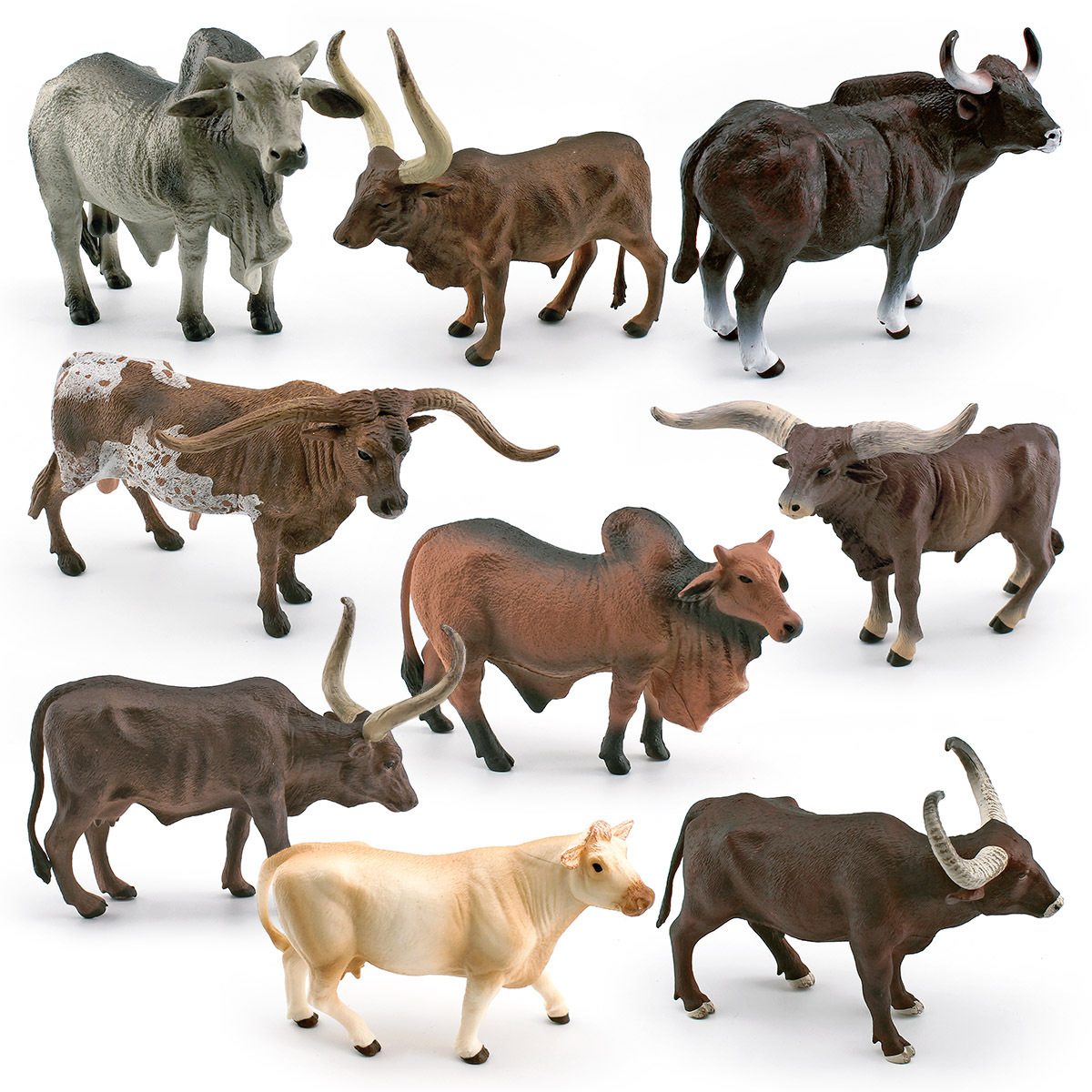 Picture of Source manufacturer simulation Texas Longhorn cattle Vatusi cow tumor cattle Charolais cattle Gore cattle model