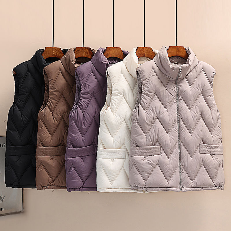 2023 autumn and winter New sleeveless stand collar all-match down cotton vest women's outer wear waistcoat fashionable off-season vest