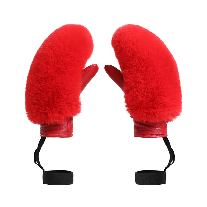 Picture of Winter new ski gloves women windproof cold warm fleece-lined cross-border trade plush ski gloves ladies
