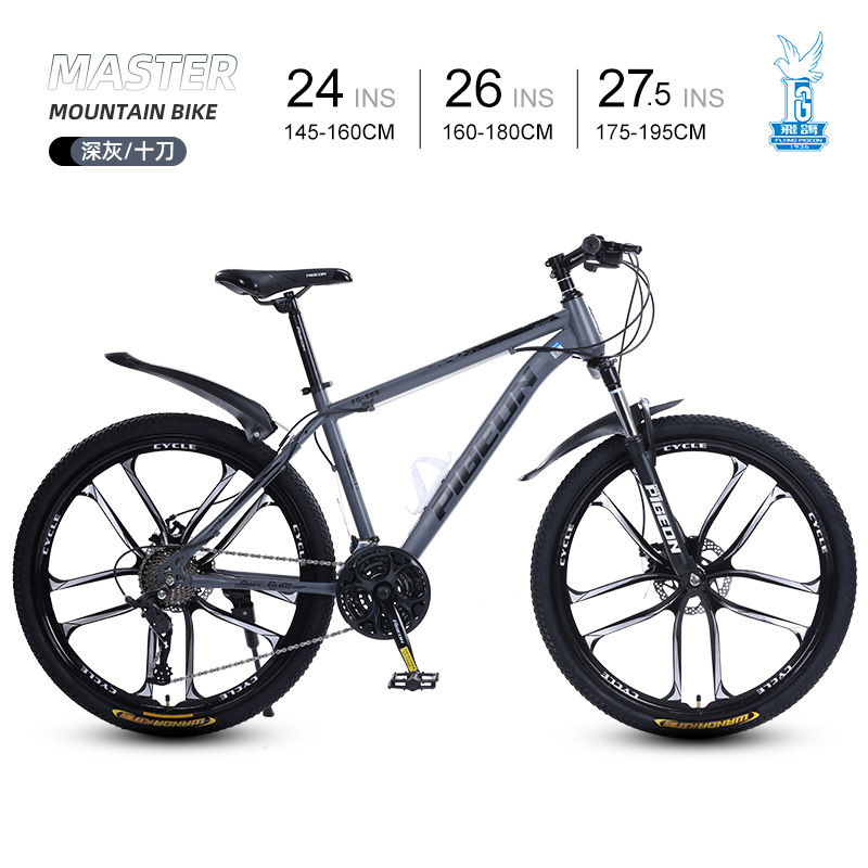 Picture of Flying Pigeon Bike Men's Cross-country Variable Speed Mountain Bike 24 Inch Outdoor Sports Cycling Road Bike