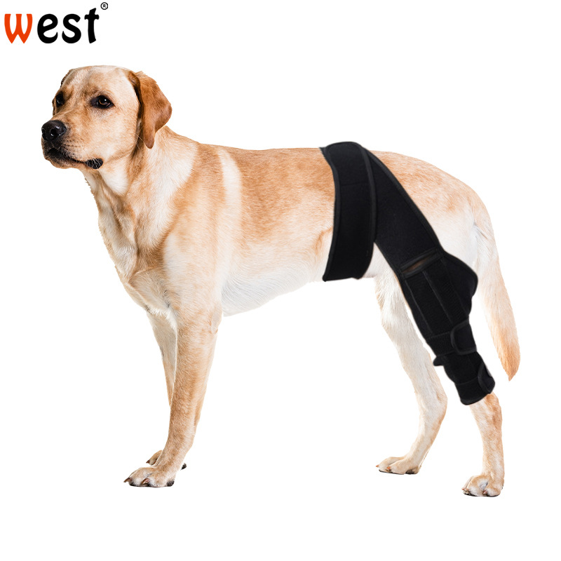 Dog Knee Protector Stabilizing Joint Preventing Licking and Restoring Pressure Strap Protector Pet Joint Dislocation Protective Cover