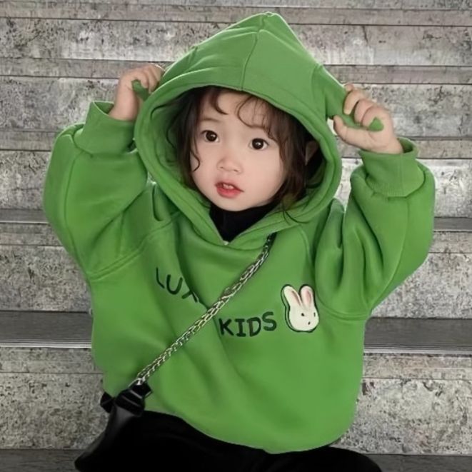 Picture of Baby girl's autumn and winter 2023 fleece-lined sweater girls' Korean style western style warm hooded top children's sweater