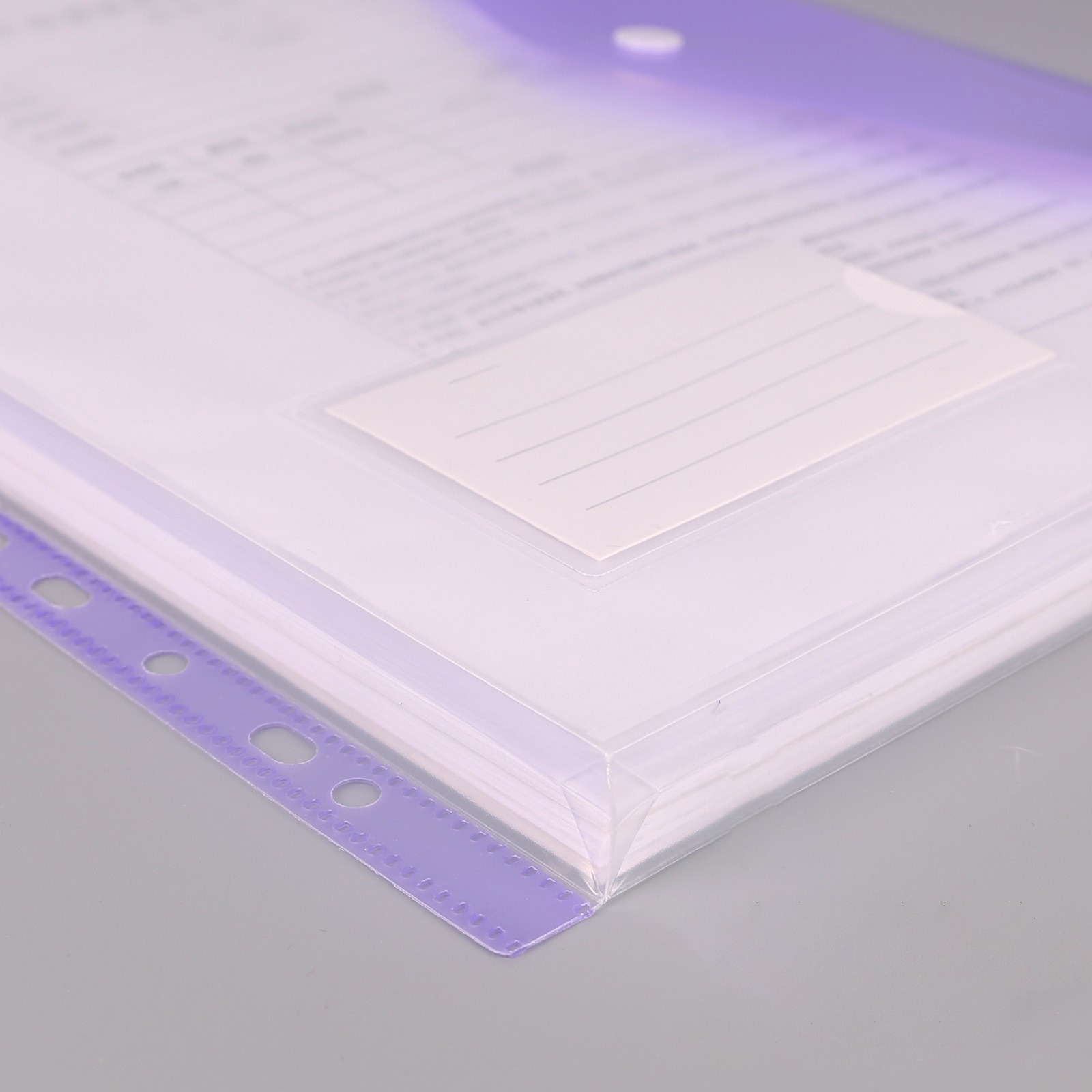 Picture of Cross-Border Hot-Selling Vertical Data Storage File Bag A4 11-Hole Loose-Leaf File Bag Pp Snap Plastic File Bag
