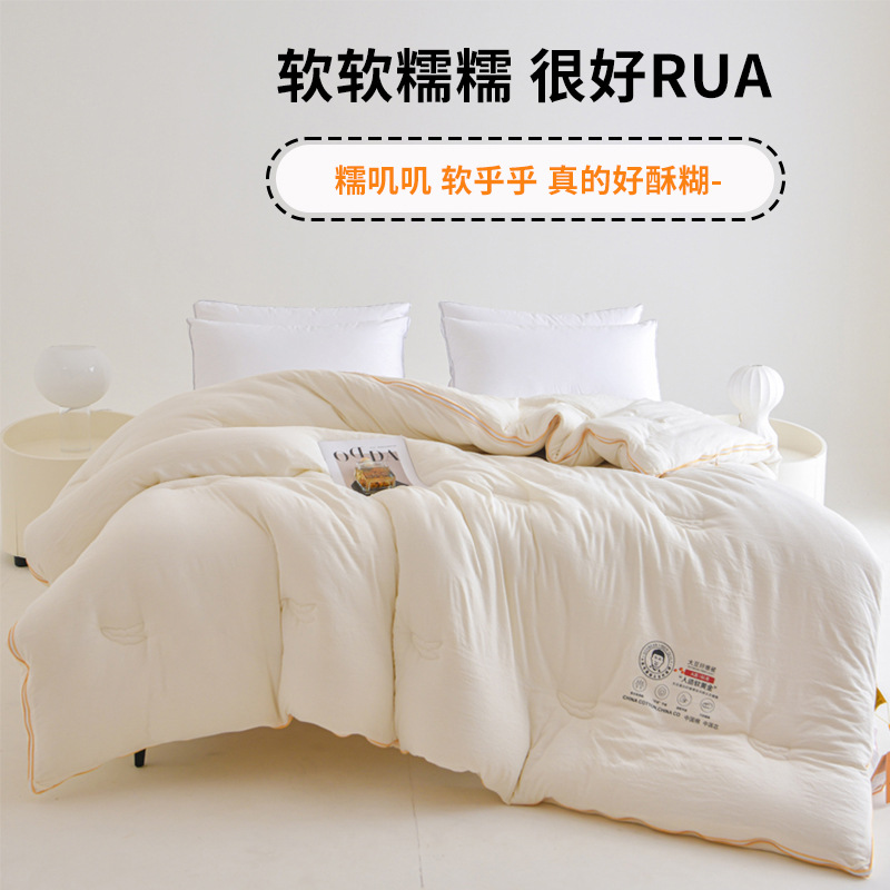 Picture of Class A soybean fiber quilt zipper two-in-one quilt core thickened winter quilt warm quilt core gift wholesale